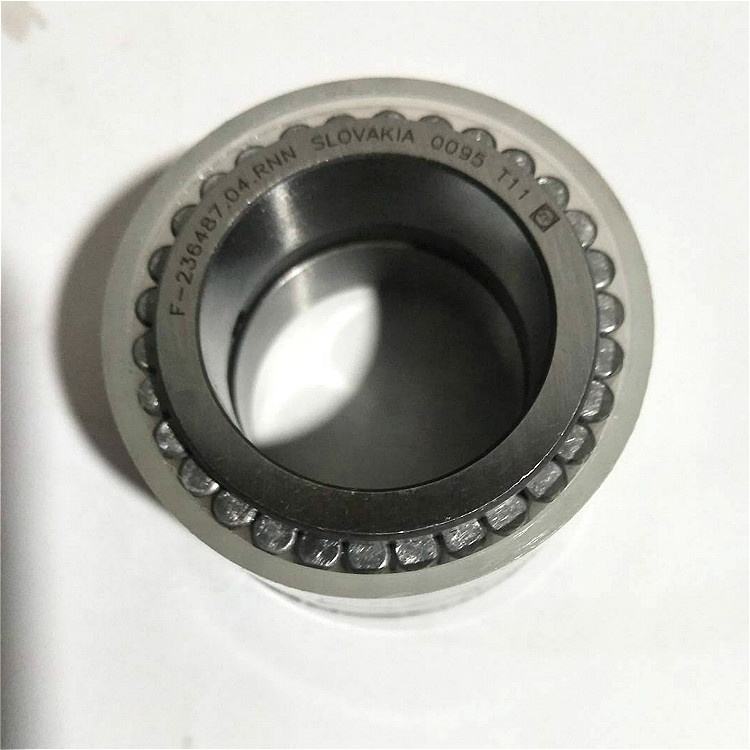 F-236487 Bearing Double Row Cylindrical Roller Bearing F-236487.04.RNN Size 29x42.37x31.35mm